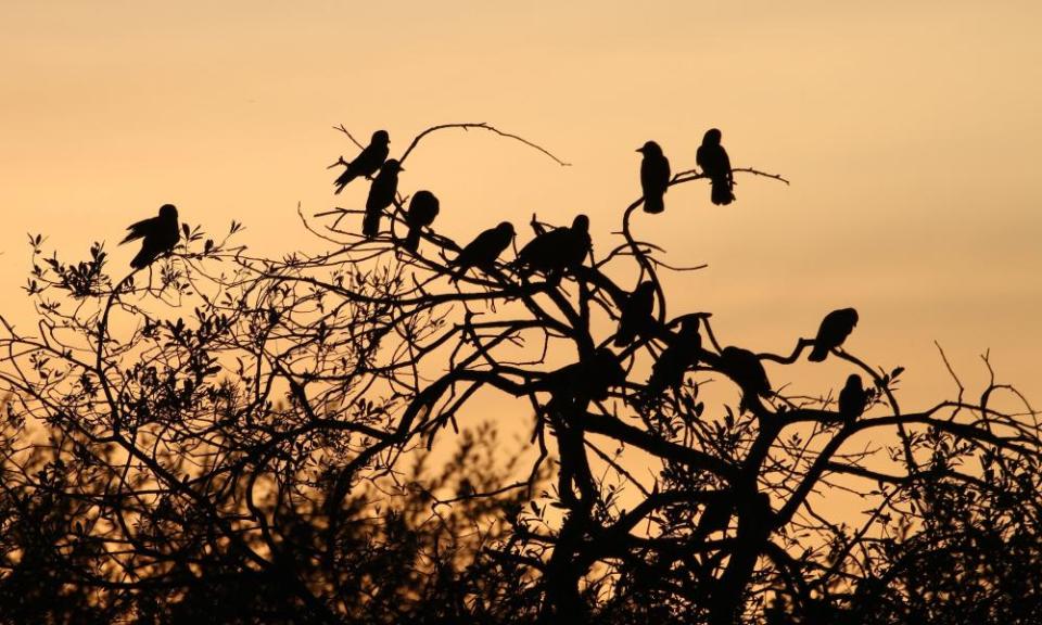 <span>Photograph: Alan McCarthy/PA</span>