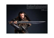 Tohrin Oakenshield (Richard Armitage) the leader of the dwarves. (Credit: EW)