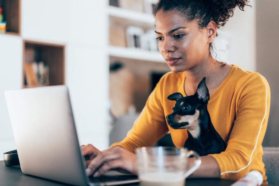 A person sits typing on a laptop at a desk, while a small dog sits on their lap.