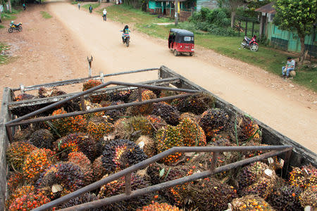 FILE PHOTO: A truck loaded with palm oil fruits is pictured in the village where Jakelin, a 7-year-old girl who died in U.S. custody, used to live in San Antonio Secortez, municipality of Raxruha, Guatemala December 16, 2018. REUTERS/Josue Decavele/File Photo