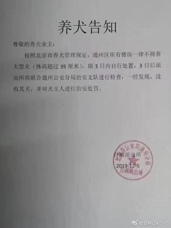 中國北京市頒布「限狗令」，要求飼養體型超過35公分的大型犬的飼主，要在3日內自行處置犬隻。（翻攝自綠黨臉書）