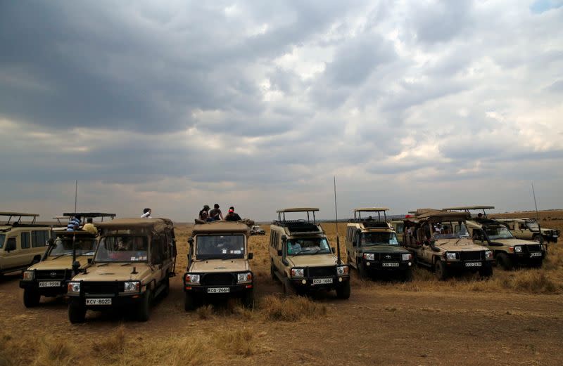 Wildebeests' migration in the Maasai Mara game reserve