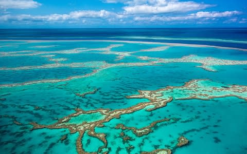Great Barrier Reef - Credit: Getty