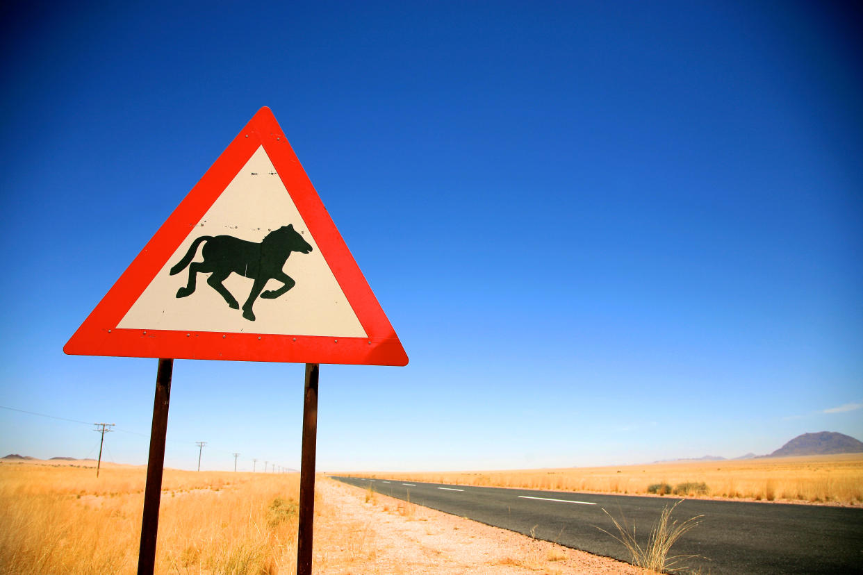 Wild horses crossing the road, warning sign in Namibia on the way to Luderitz against a blue sky.