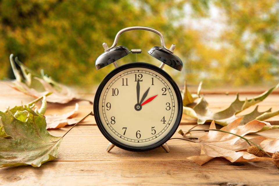 At 2 a.m. on Sunday, Nov. 5, the clocks will "fall back" an hour and millions of Americans will gain an extra hour of sleep. This event annually marks the end of daylight saving time.