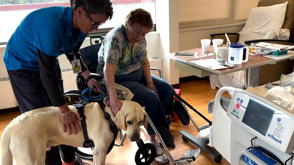 Therapy dog brings joy to hospital patients