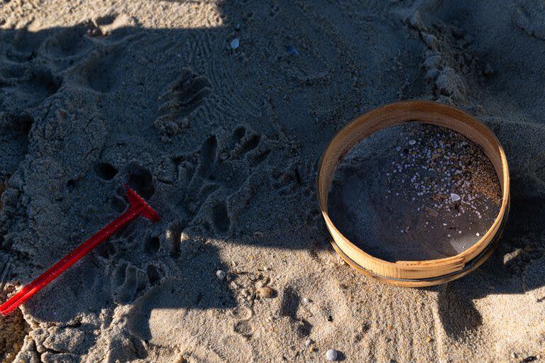 Voluntarios hacen una recogida de pellets de la arena, Galicia, a 7 de enero de 2024, en A Coruña