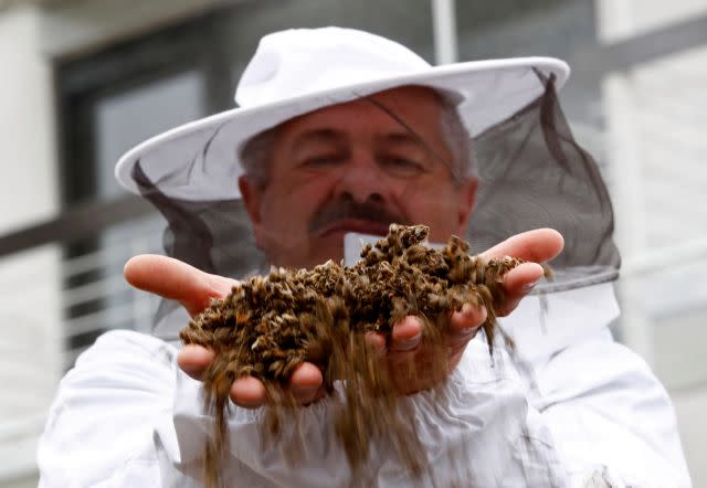 A beekeeper holds dead bees from a colony collapse incident at a protest against the merger of Germany's pharmaceutical and chemical maker Bayer AG with Monsanto.