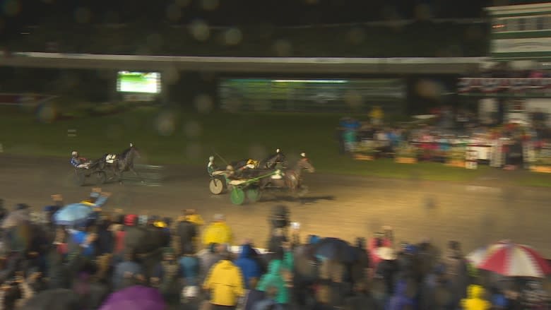 Why 20,000 people gather to watch the Gold Cup & Saucer race at midnight