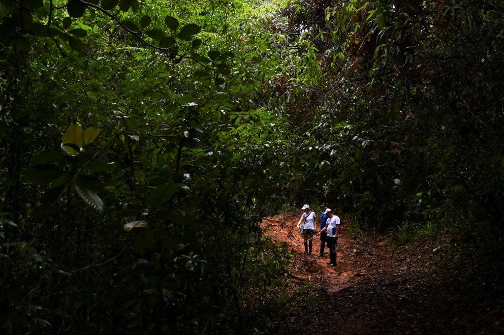 Tourists walk in the forest in Gorgona Island, Colombia, on Dec. 2, 2021. Formerly an infamous prison island comparable to Alcatraz in the U.S. and Robben Island in South Africa, today the island is a national natural park.