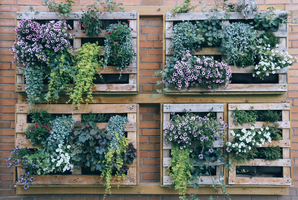 2. DIY a pallet vertical garden space