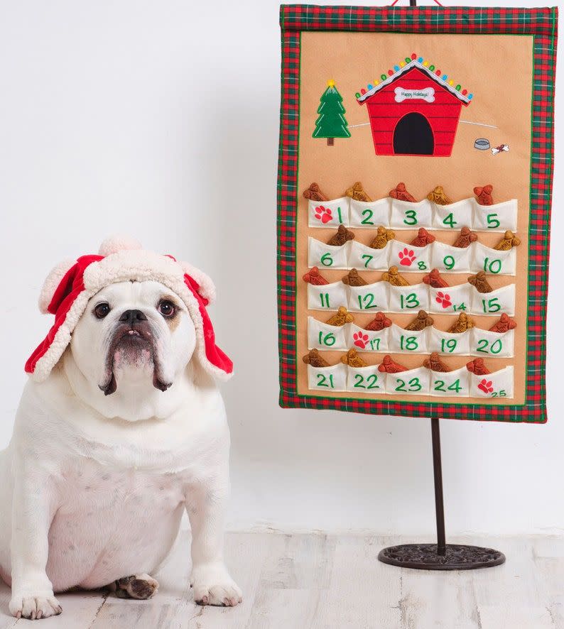 <p><strong>PocketsofLearning</strong></p><p>etsy.com</p><p><strong>$29.65</strong></p><p>This Christmas countdown calendar doubles as an adorable holiday decoration. It features a wooden dowel, so you can <strong>hang it up high to prevent your dog from sneaking the treats</strong> while you're not looking.</p><p><strong>RELATED:</strong> <a href="https://www.goodhousekeeping.com/holidays/christmas-ideas/g29071878/best-christmas-decorations-to-buy/" rel="nofollow noopener" target="_blank" data-ylk="slk:30 Best Christmas Decorations to Buy Online in 2022;elm:context_link;itc:0;sec:content-canvas" class="link ">30 Best Christmas Decorations to Buy Online in 2022</a></p>