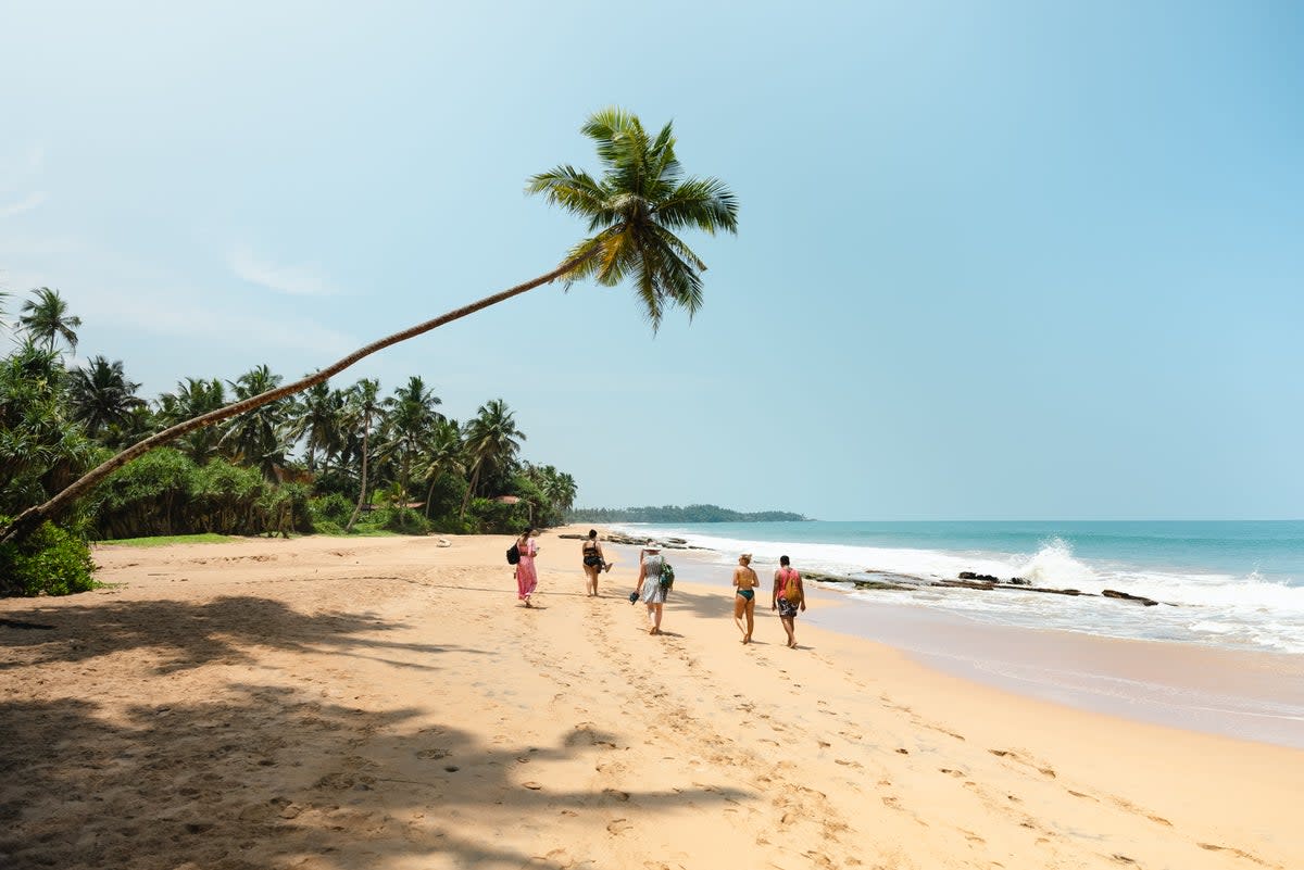 Sri Lanka, Sheraton Hotel Beach (Sam Walker)