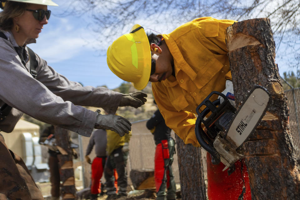 Aravaipa Hotshot Katie Williamson, left, instructs a Wildfire academy student using a chainsaw, Monday, March 11, 2024, in Prescott, Ariz. Forecasters are warning that the potential for wildfires will be above normal in some areas across the United States over the coming months as temperatures rise and rain becomes sparse. (AP Photo/Ty ONeil)