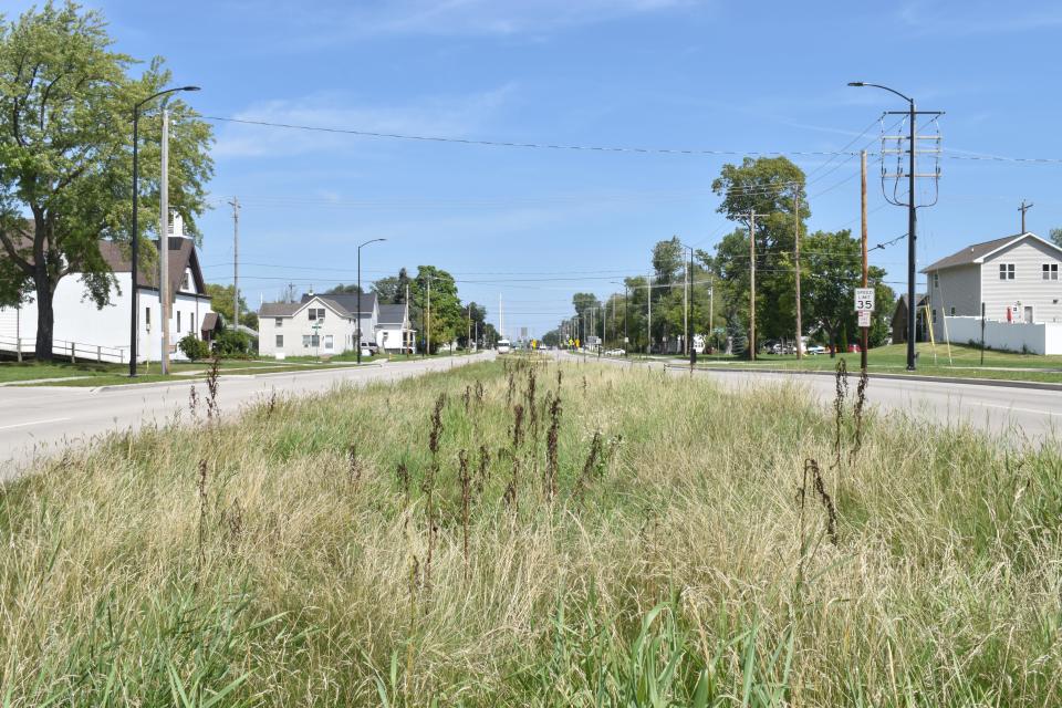 The city installed a vegetated swales when it reconstructed North Monroe Avenue in Green Bay to help with stormwater runoff.