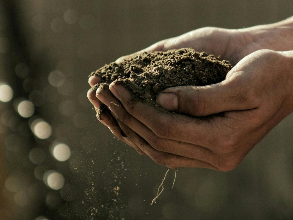 Cupped hands hold soil against a dark background with a tendril of plant root hanging through the fingers.