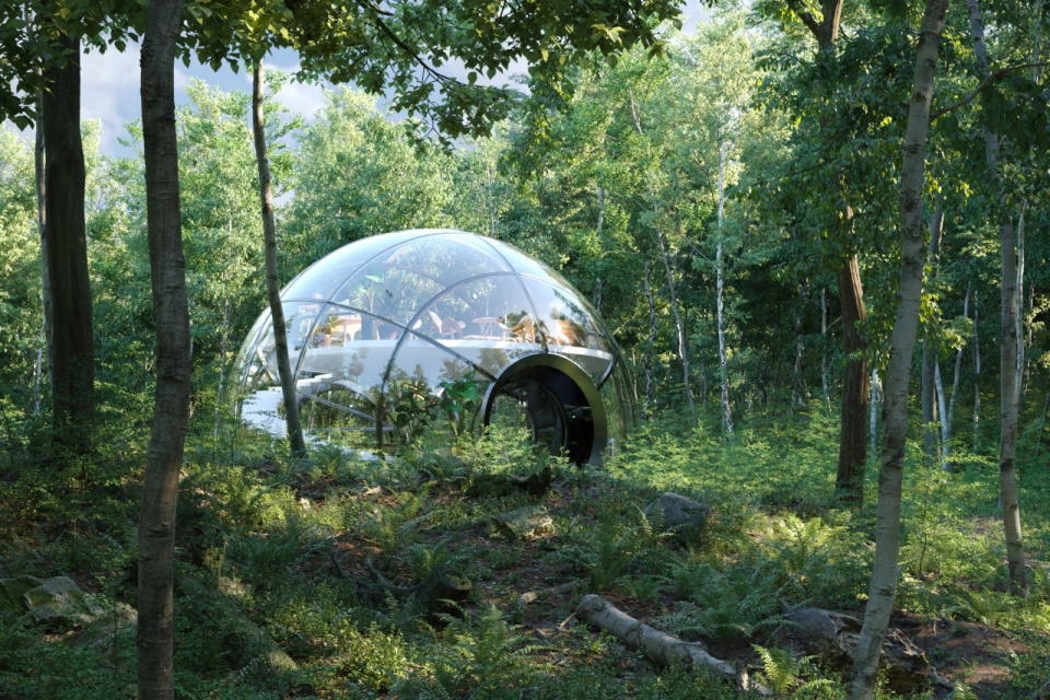 Living O'Pod imagined within Finland's Repovesi National Park. 