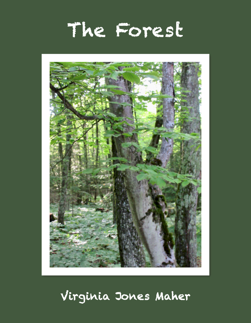 The cover of "The Forest," the new book by Door County art historian Virginia Jones Maher.