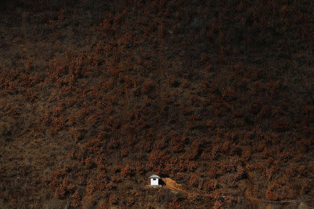 A North Korean watchtower is photographed from the Chinese side of the Yalu River east of Linjiang, China, November 22, 2017. A week-long road trip along China's side of its border with North Korea showed places where it is porous. REUTERS/Damir Sagolj