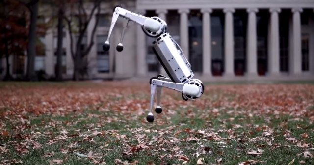 This Cheetah Robot Taught Itself How to Sprint in a Weird Way