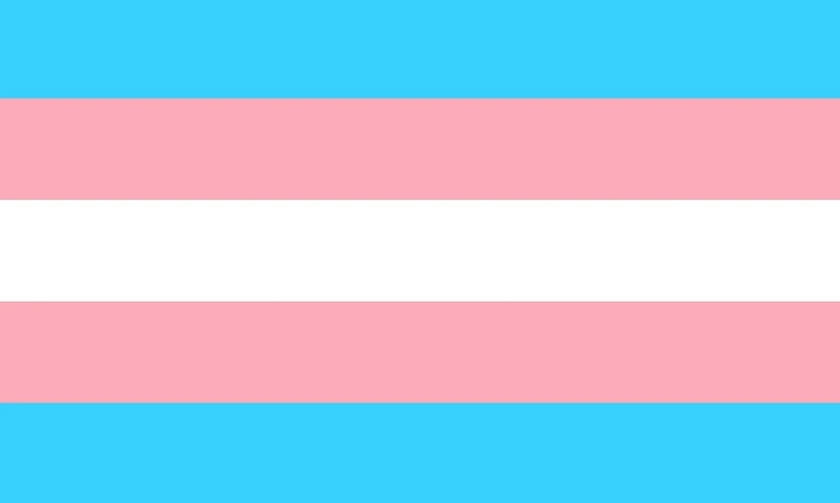 La bandera del orgullo trans