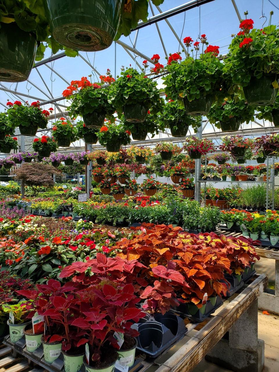 S & K Greenhouses has been in business for 30 years.