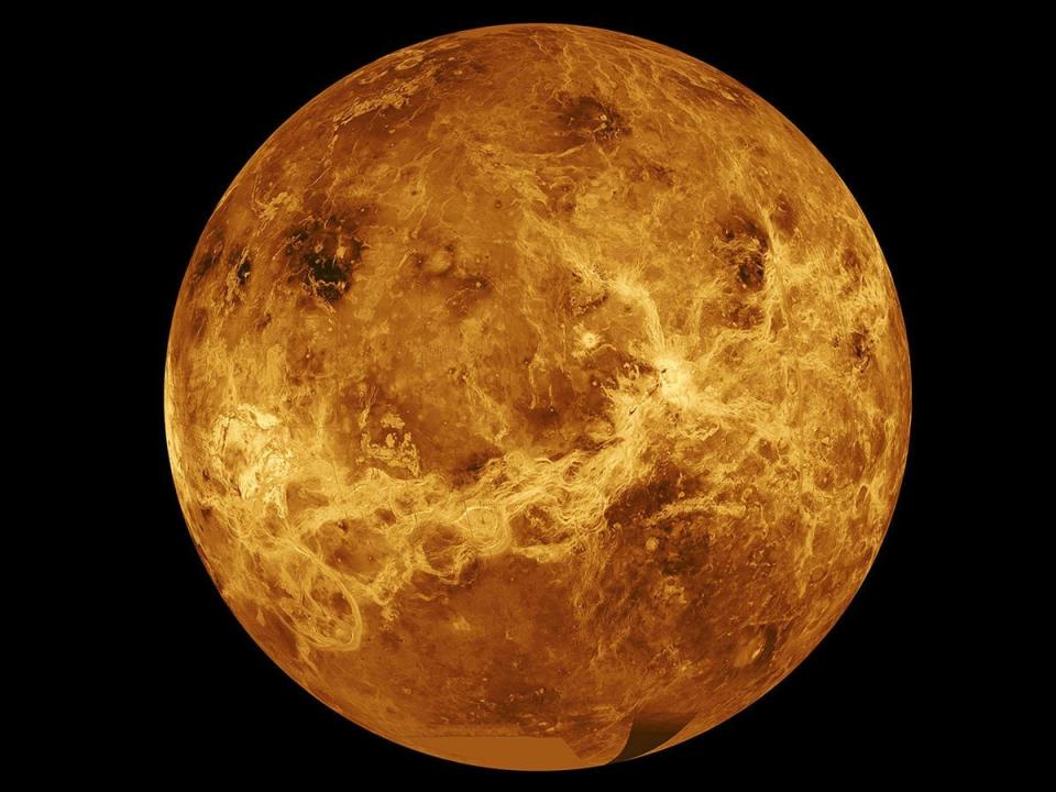 imagesvenus20191211venus20191211 16