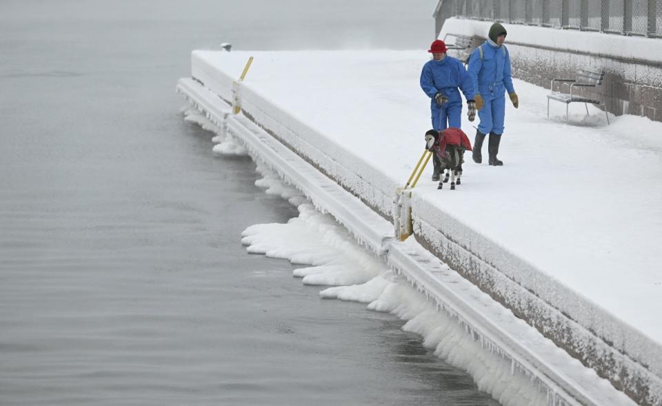 芬蘭一對穿著禦寒衣物的伴侶4日帶著穿厚衣的狗狗到赫爾辛基一處碼頭邊散步。美聯社