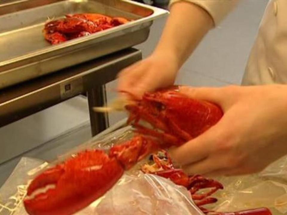 The two N.B. lobster processors will become part of a new seafood company called Atlantic Sustainable Catch. (CBC - image credit)