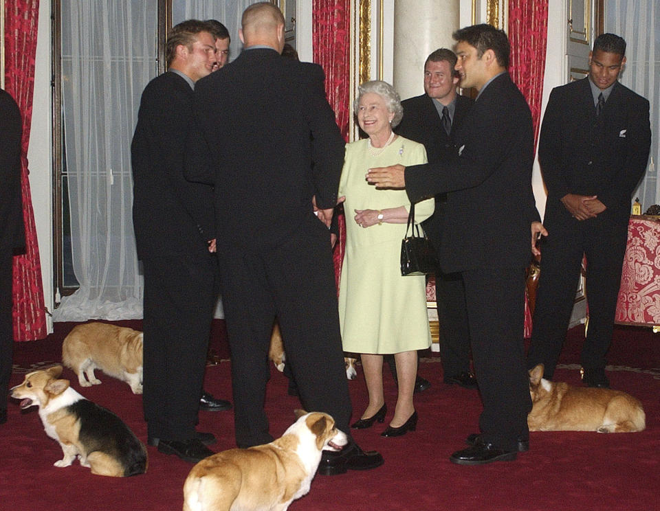 英國女王伊莉莎白二世會帶柯基出席許多重要場合。（示意圖，圖片來源：Associated press）