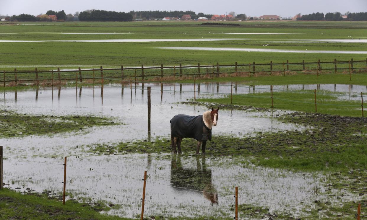 <span>In the 12 months to January, 76 of England’s 139 hydrological areas (regions around rivers, lakes and other water sources) had ‘exceptionally high’ rainfall.</span><span>Photograph: Martin Pope/Getty Images</span>