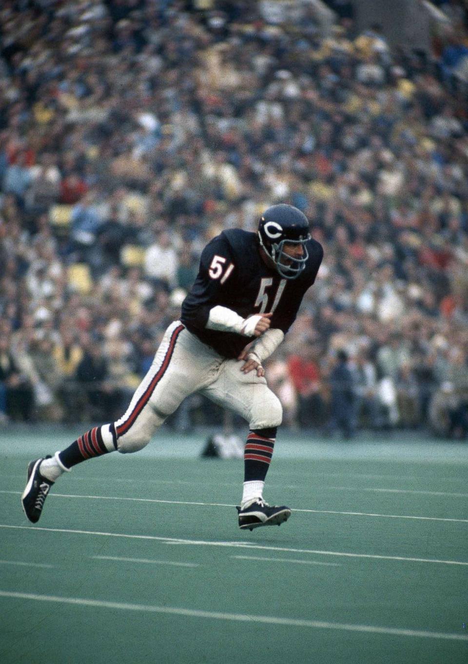 PHOTO: Dick Butkus #51 of the Chicago Bears at middle linebacker in a circa early 1970's NFL football game at Soldier field in Chicago. (Focus On Sport/Getty Images)