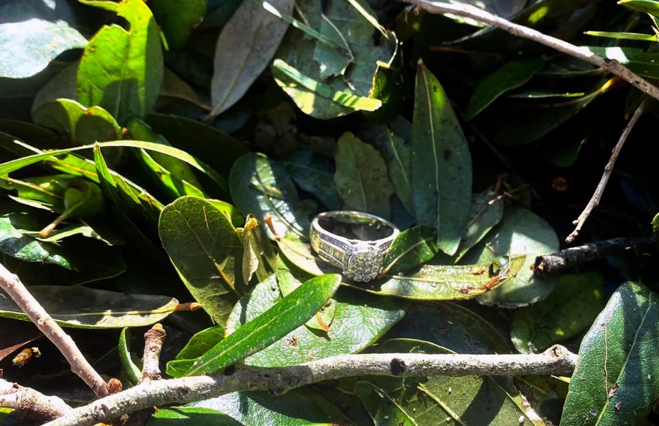 This undated photo provided by Ashley Garner shows Garner's lost wedding ring lying in a brush pile after Hurricane Ian passed through the area, in Fort Myers, Fla.  (Ashley Garner via AP)