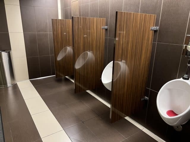 bathroom urinals look like they've got a see-through partition