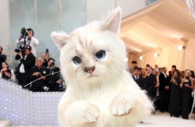 Why Did Jared Leto Dress Up as a Cat for the 2023 Met Gala? Choupette  Costume, Explained