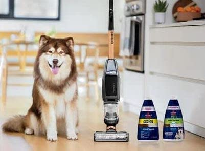 dog, vacuum