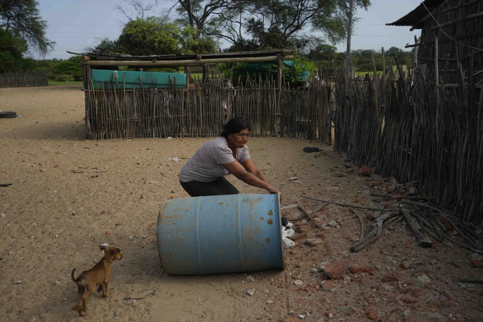 Santos Chiroque lleva rodando a su casa un bidón de agua en Santa Rosa, Chulucanas, Perú, uno de los territorios declarados en emergencia por el aumento de casos de dengue, el miércoles 28 de febrero de 2024. Una vez a la semana, residentes de esta zona rellenan sus recipientes con agua de un camión cisterna y la usan para sus necesidades básicas. (AP Foto/Martín Mejía)