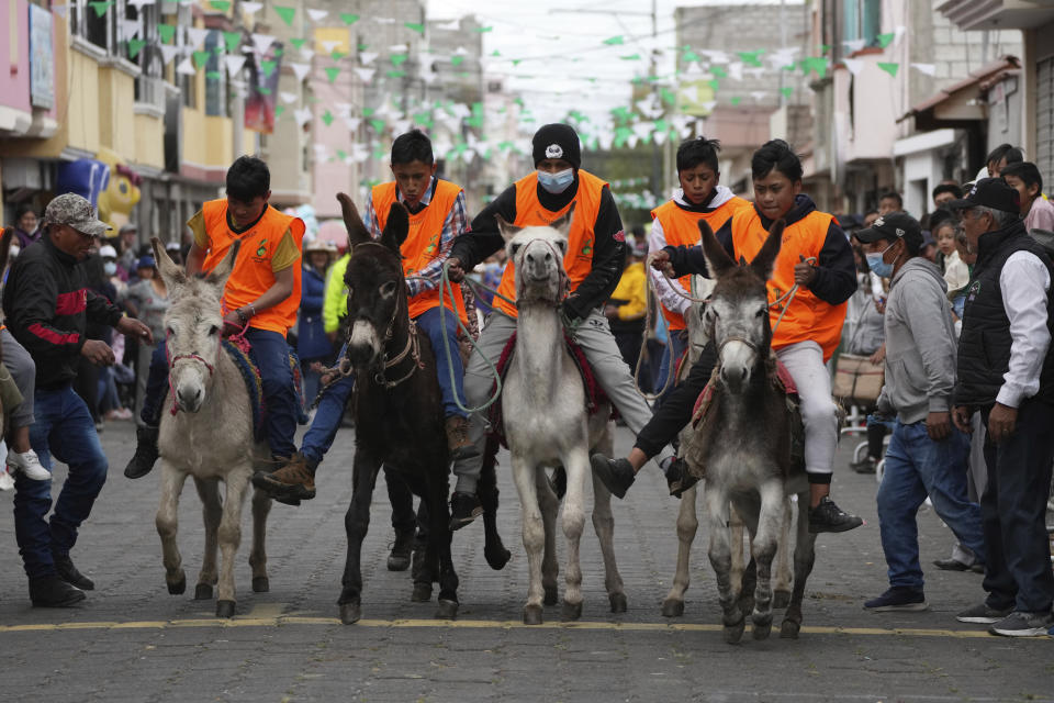 Varios chicos compiten en una prueba eliminatoria para la carrera de burros durante un festival anual de estos equinos en Salcedo, Ecuador, el sábado 10 de septiembre de 2022. (AP Photo/Dolores Ochoa)