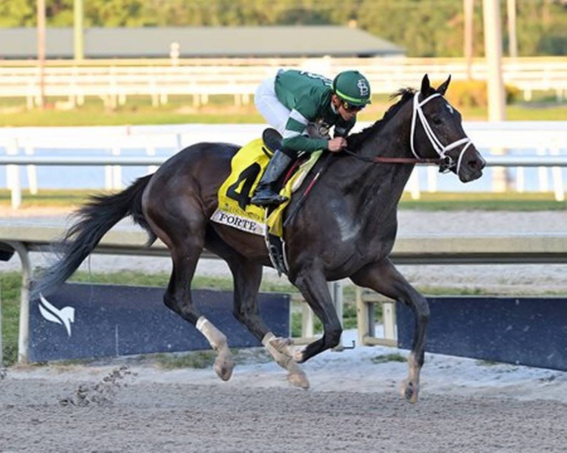 Forte made his 3-year-old debut Saturday in the Fountain of Youth Stakes at Gulfstream Park. The winner of last fall’s Breeders’ Cup Juvenile at Keeneland romped to a 4 1/2-length win in Florida and now has a Derby leaderboard-topping 90 qualifying points for the Run for the Roses. Coglianese Photos