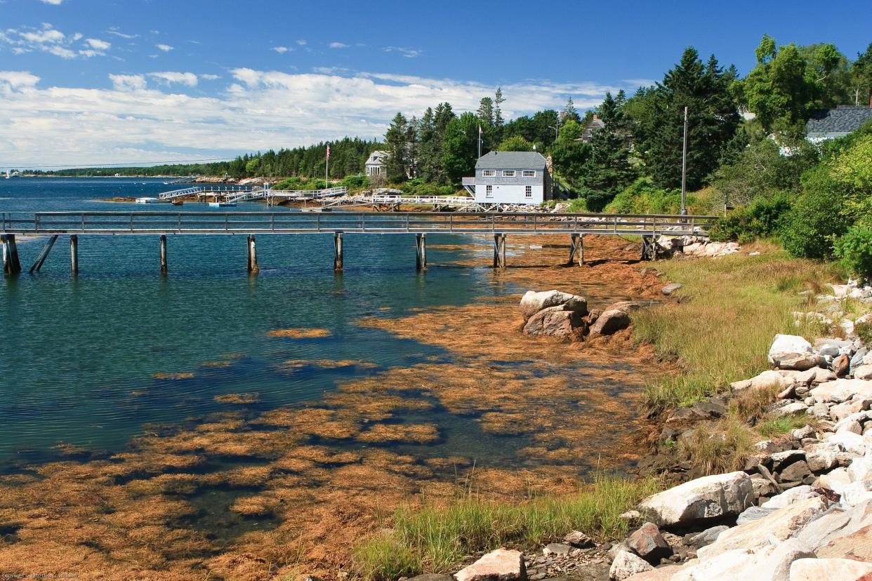 Christmas Cove, Maine