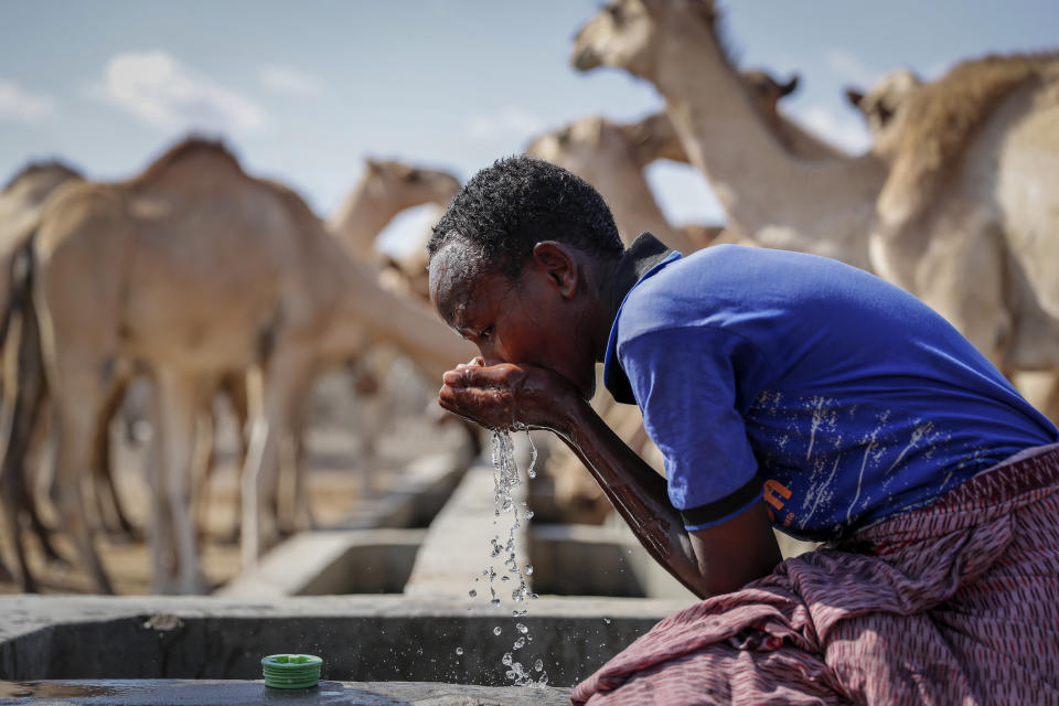 A herder boy who looks after livestock quenches his thirst from a water point in the desert near Dertu, Wajir County, Kenya Sunday, Oct. 24, 2021. As world leaders address a global climate summit in Britain, drought has descended yet again in northern Kenya, the latest in a series of climate shocks rippling through the Horn of Africa. (AP Photo/Brian Inganga)