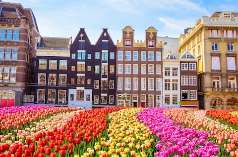 Amsterdam has plenty to recommend it aside for its transport credentials - Credit: istock