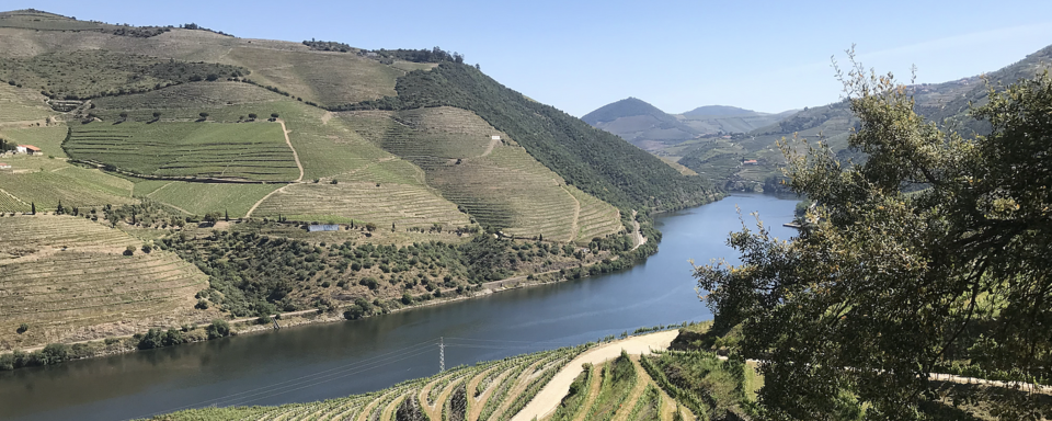 離波圖約個半鐘車程的Douro Valley，是Rachel及Adam必定帶朋友及客戶去景點之一 