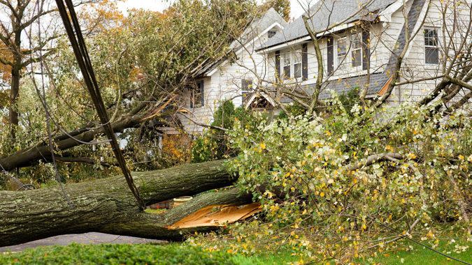 Hurricane Damaged Homes by Fallen Trees and Power Lines.