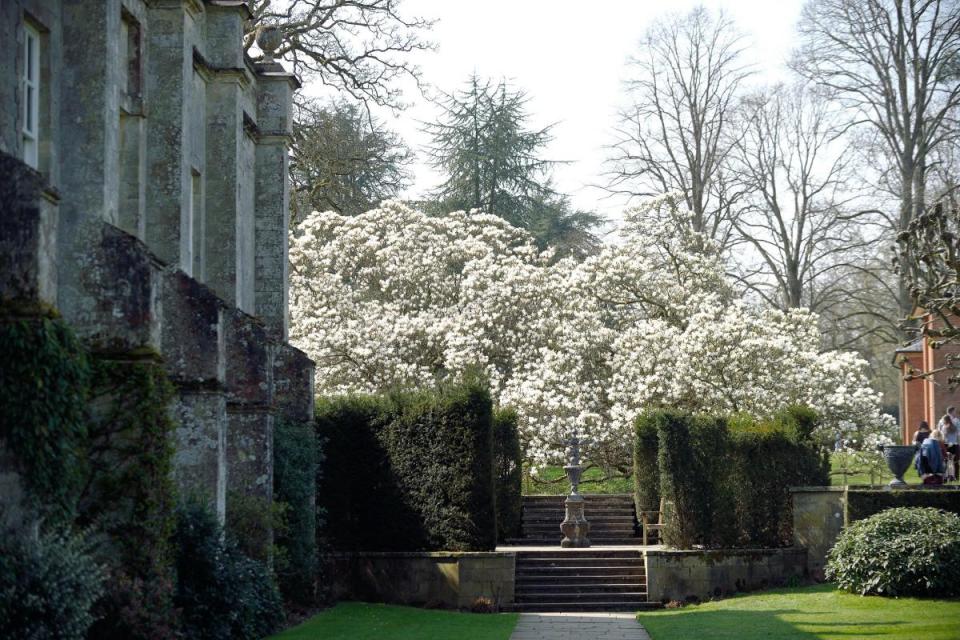 Spring at Mottisfont <i>(Image: National Trust)</i>