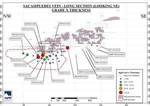 Longitudinal section of the Sacasipuedes vein showing grade-thickness values