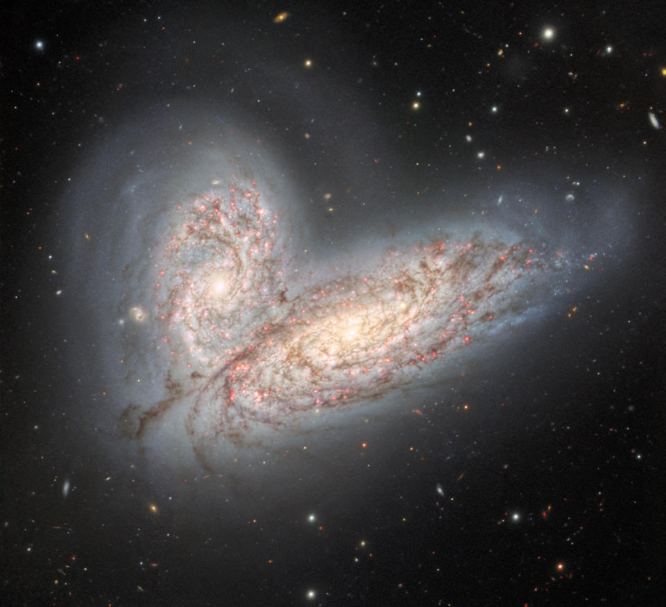 This image from the Gemini North telescope in Hawai'i reveals a pair of interacting spiral galaxies — NGC 4568 (bottom) and NGC 4567 (top) — as they begin to clash and merge. The galaxies will eventually form a single elliptical galaxy in around 500 million years. / Credit: International Gemini Observatory/NOIRLab/NSF/AURA