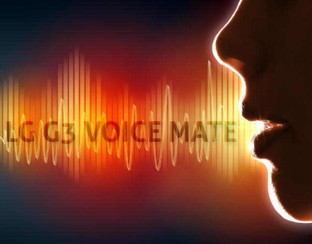 Voice Mate