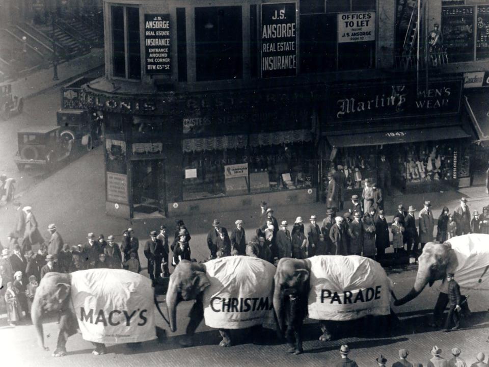 Elephants march in first the Macy's Thanksgiving Day Parade in 1924.