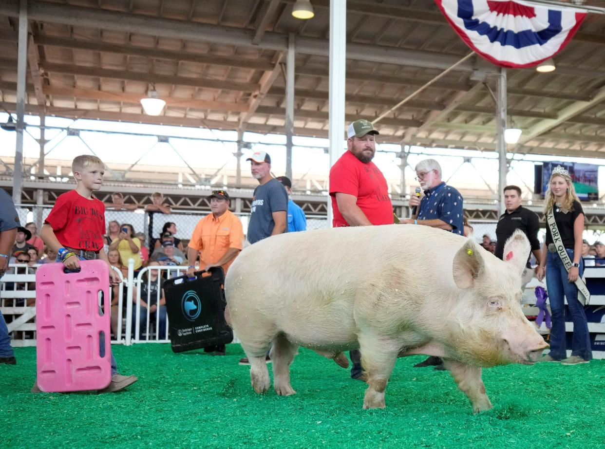 Jack Theobald, 10, ushers his big boar into the contest ring.